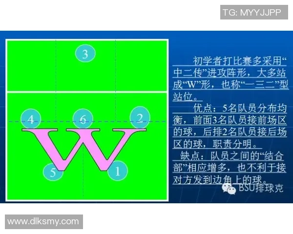 排球战术排名揭晓北京排球队荣登第六位引发热议
