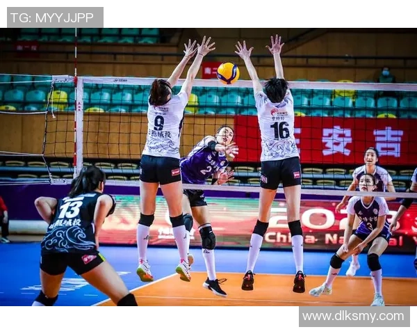 权威发布：2023年排球团队协作实力排行榜全面解析与深度解读