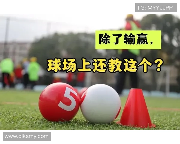 杨娜专访：从球场到人生的转折与成长之路