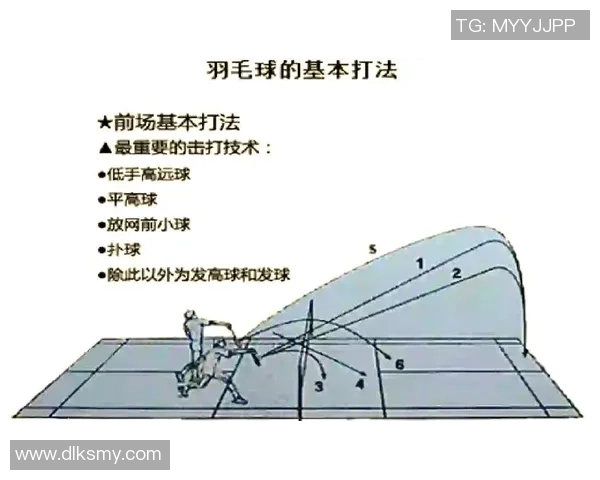 武汉羽毛球队技术深度解析与训练方法探讨